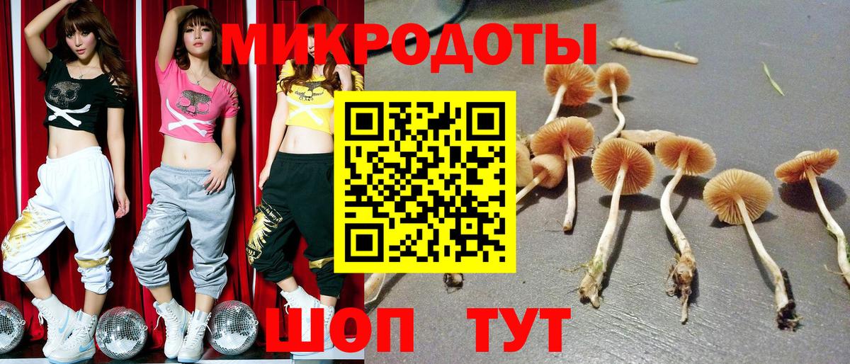 Псилоцибиновые грибы Cubensis  Вход с VPN  купить наркоту  Озёрск 