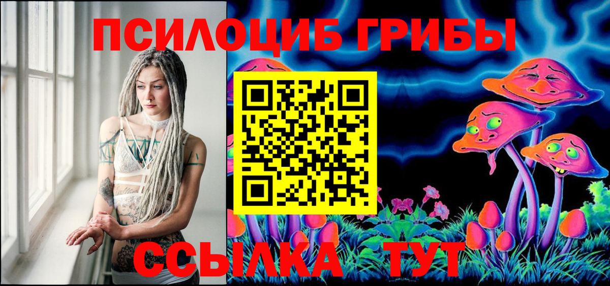Галлюциногенные грибы Psilocybine cubensis Озёрск